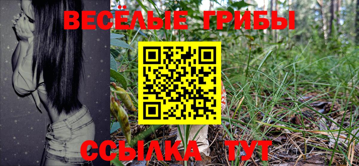 Псилоцибиновые грибы Psilocybe Лабытнанги